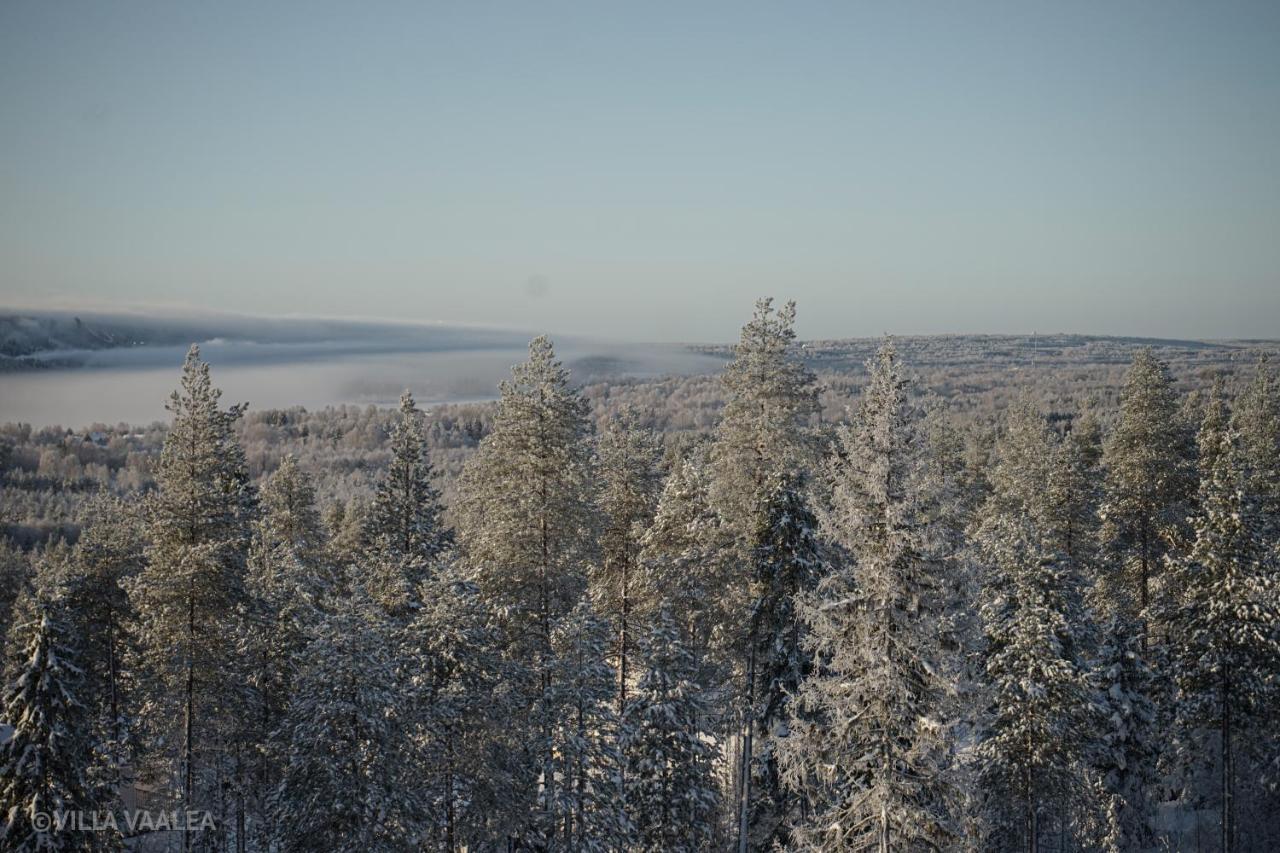 Vaalea * Rovaniemi