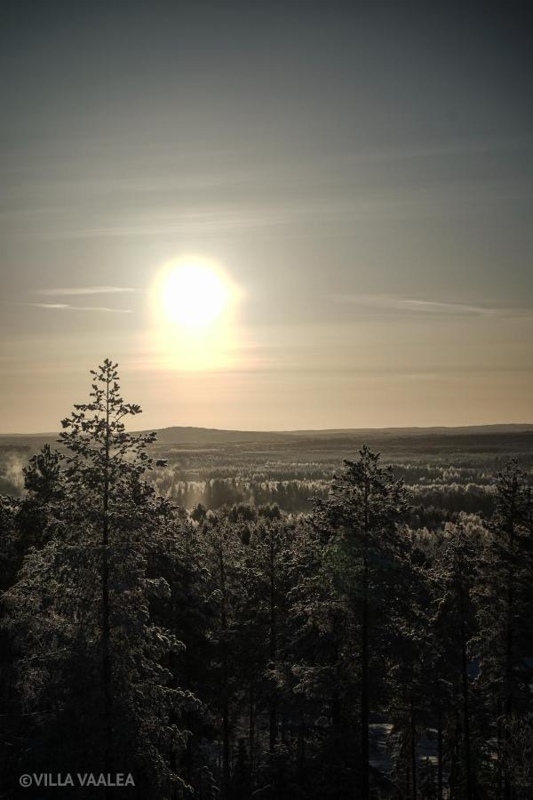 Vaalea Rovaniemi